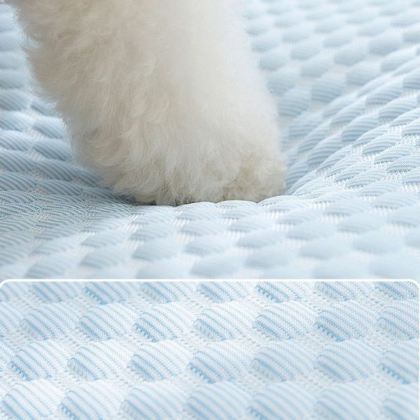 Funny Ice Calming Dog Bed for Summer - Image 6