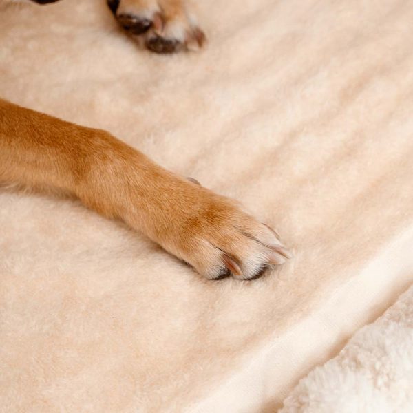 Trendy Striped House Orthopedic Dog Bed - Cozy Hideaway - Image 11
