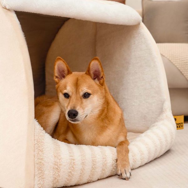 Trendy Striped House Orthopedic Dog Bed - Cozy Hideaway - Image 7
