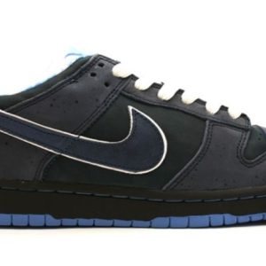 Dunk SB Low Blue Lobster Signature Footwear – Limited