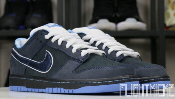 Dunk SB Low Blue Lobster Signature Footwear – Limited - Image 3