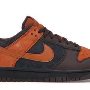 Dunk Low Cider Signature Footwear – Limited