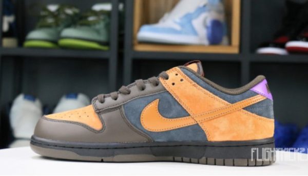 Dunk Low Cider Signature Footwear – Limited - Image 2