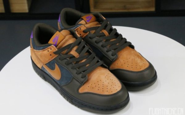 Dunk Low Cider Signature Footwear – Limited - Image 3