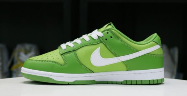 DUNK LOW 'CHLOROPHYLL' Unfading Sneaker – Limited - Image 2