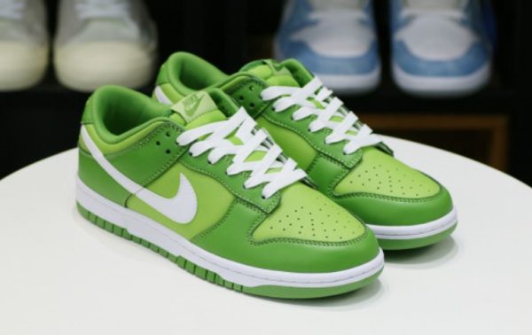 DUNK LOW 'CHLOROPHYLL' Unfading Sneaker – Limited - Image 3