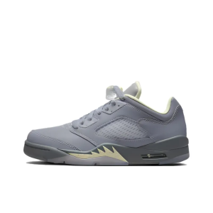 JAA 5 Retro Low Indigo Haze - Fj4563-500 – Streetwear