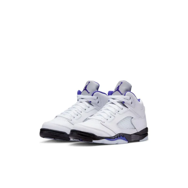 JAA 5 Retro Dark Concord PS - 440889-141 – Limited - Image 3
