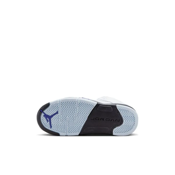 JAA 5 Retro Dark Concord PS - 440889-141 – Limited - Image 6
